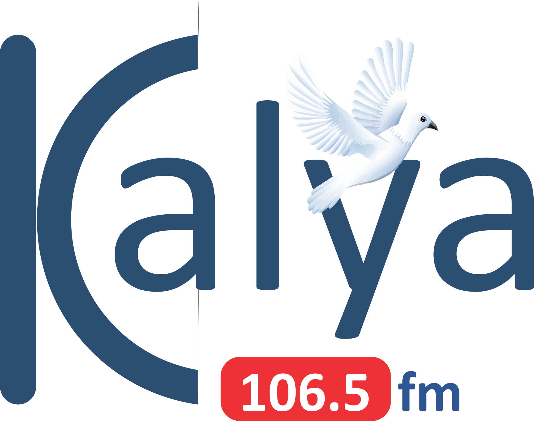 Website Image