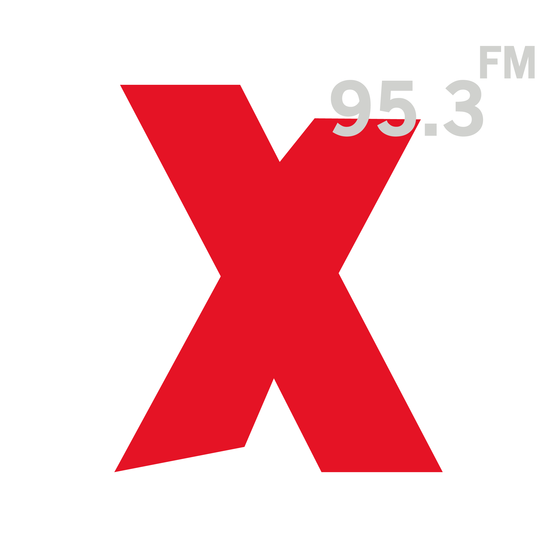 Website Image