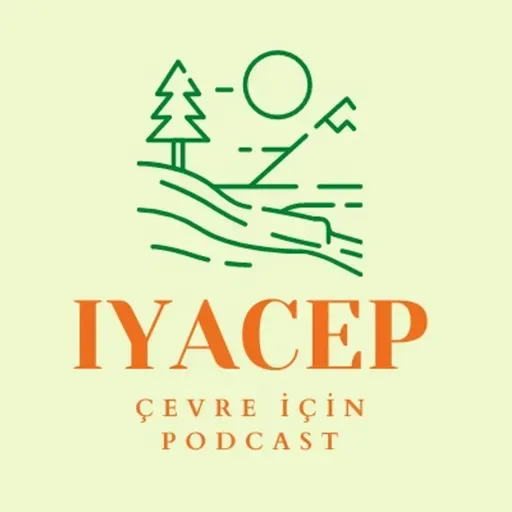 Gizli Çevre Kirleticileri: Gaz Ocakları