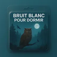 1 H Bruit Blanc de relaxation pour DORMIR | Dans la forêt de nuit