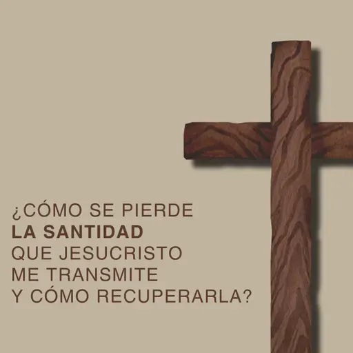 #448- 🇪🇸 ¿Cómo Se Pierde La Santidad Que Jesucristo Me Transmite Y Cómo Recuperarla? (Parte 2) | David Henao #CCILondon