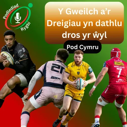 Y Gweilch a’r Dreigiau yn dathlu dros yr ŵyl