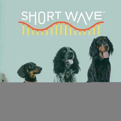 Helping Dogs and Their Pawrents Live Healthier, Longer