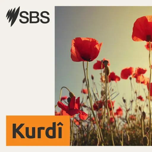Bridging worlds: A Kurdish–Korean love story shaped in Australia - Yekkirina çandan: Çîrokeke evînê ya Kurdî-Kûrî li Australya şêwekirî