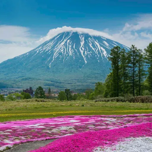 今年暑假的旅行计划：北海道和中亚 | This Summer’s Travel Plans: Hokkaido and Central Asia