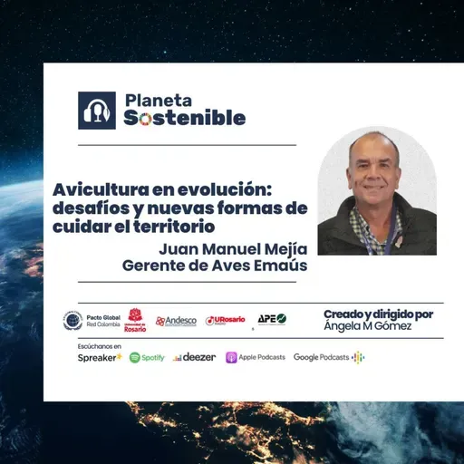 Del campo a la mesa: desafíos y apuestas para una avicultura sostenible