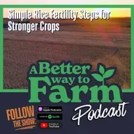 352: Simple Rice Fertility Steps for Stronger Crops