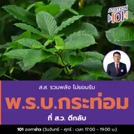 ส.ส.รวมพลัง ไม่ยอมรับ พ.ร.บ.กระท่อม ที่ส.ว.ตีกลับ 