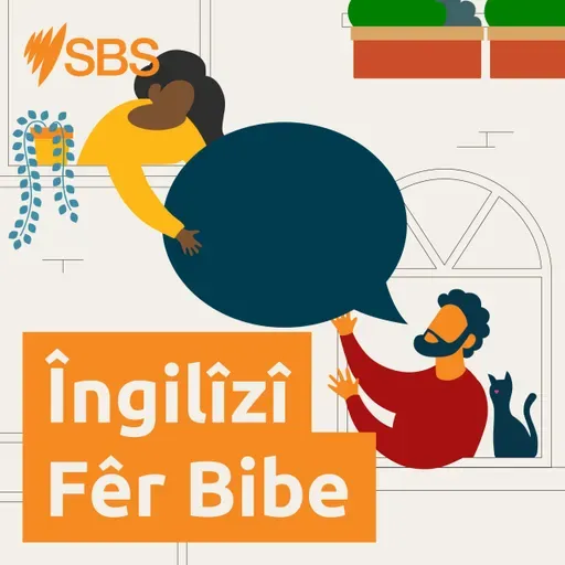 #107 Protecting Wildlife | Talking about animals and nature (Med) - #107 Parastina Jiyana Kovî | Axaftina li ser heywan û xwezayê