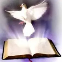 Λύχνος Ακούστε Ζωντανά