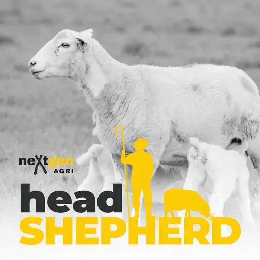 Lessons from moving sheep genetics around the world with Ian McDougall