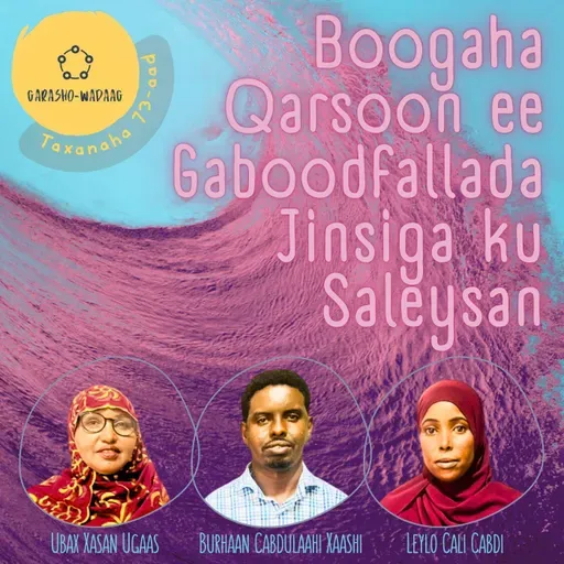 73. Boogaha Qarsoon ee Gaboodfallada Jinsiga ku Saleysan