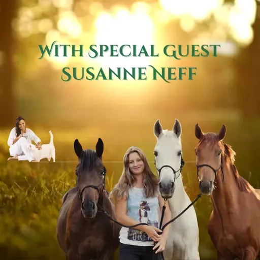 Equine Therapy: Horses as Our Healing Partners