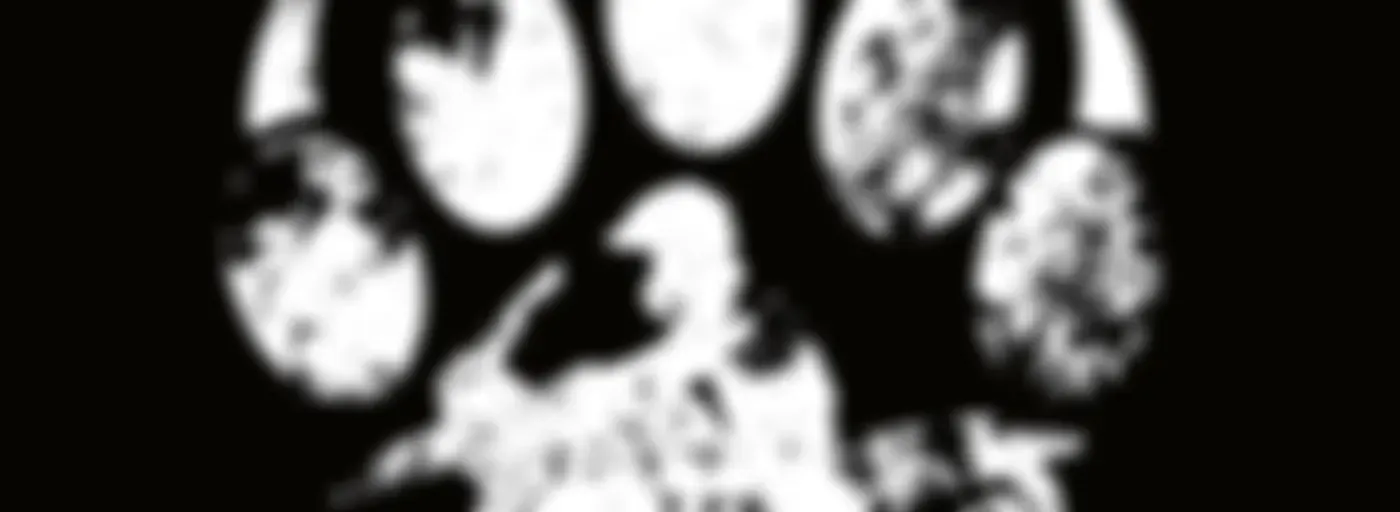 BEARcast - Motorrad Reise Podcast