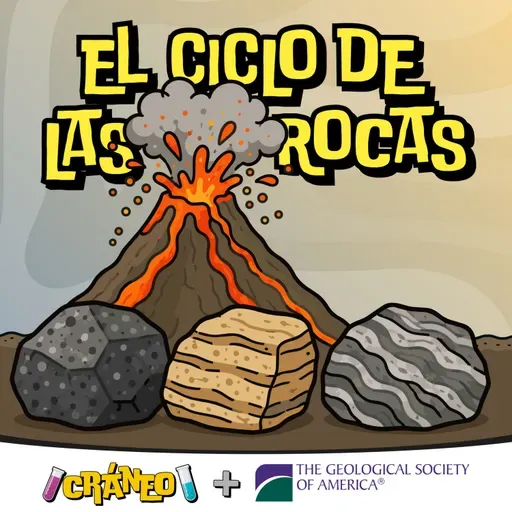 El ciclo de las rocas: desde el magma hasta los fósiles