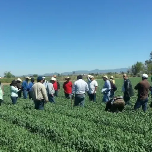 Extensión rural en crisis: ¿Desaparecerá este pilar del campo argentino?