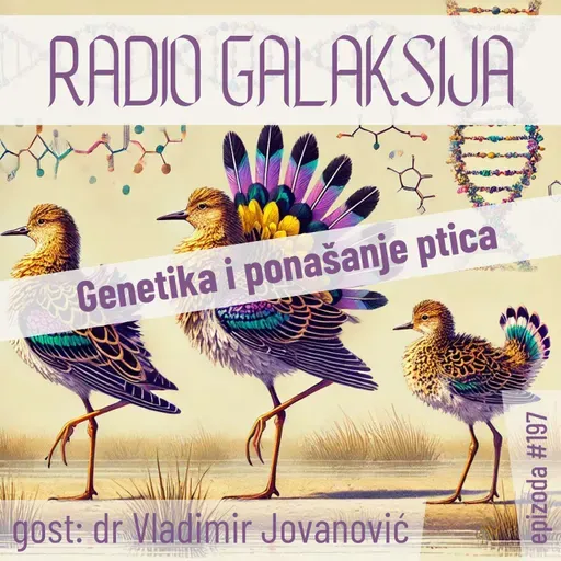 Radio Galaksija #197: Genetika i ponašanje ptica (dr Vladimir Jovanović) [25-03-2025]