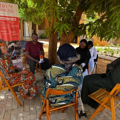 Les réseaux sociaux au service de l’émancipation des jeunes filles nigériennes( Tous à la Fada)