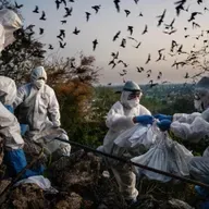 Kino-Doku „Blame“ – Wenn Wissenschaft zur Zielscheibe von Hass wird