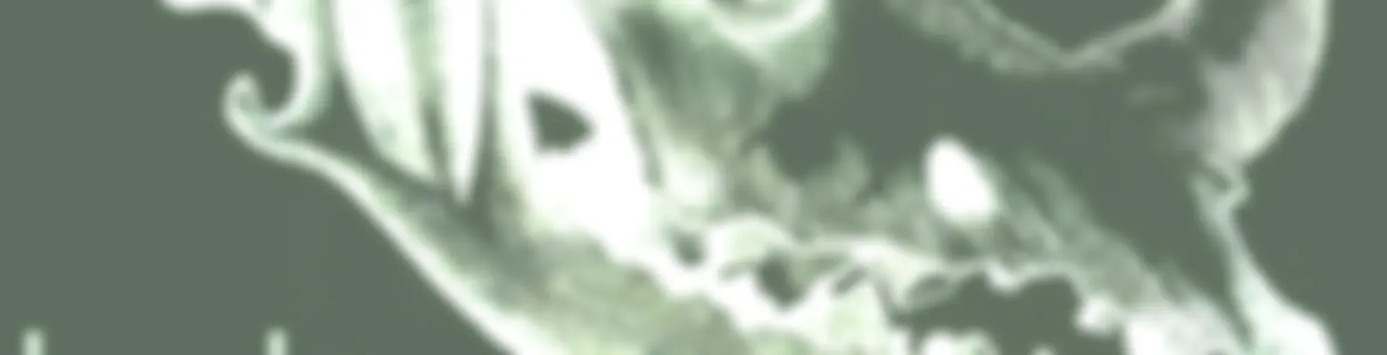 The Cryptonaturalist