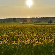 Encouragement and Prayer: A Sacrificial Life! (5/2/26)
