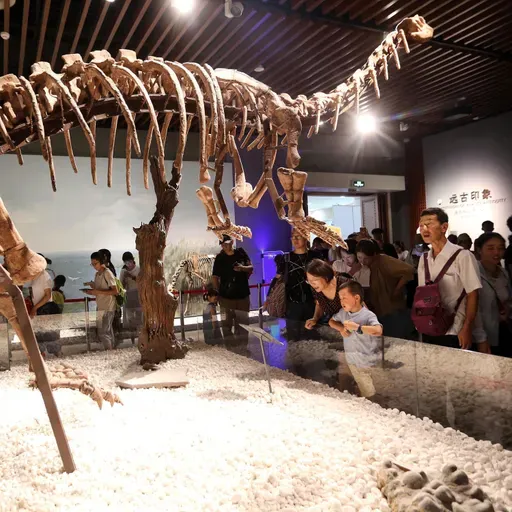 Museum fever for summer vacation