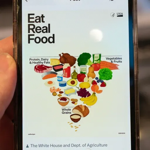 RFK Jr.'s new food pyramid