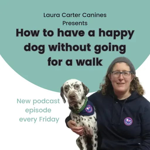 Why Short Training Bursts Beat Long Walks for Focus