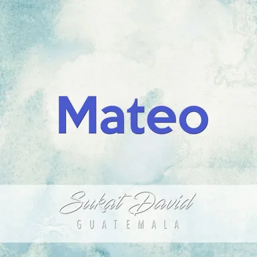 Mateo 26:1-13 verso por verso