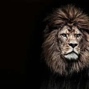 Radio TET (FLORIDA) New Gamers