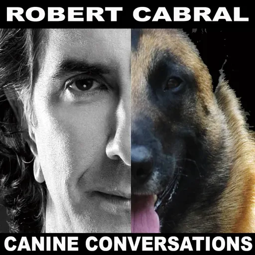 Episode 132 - Malinois Gone Wrong