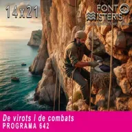 De virots i de combats | Font de Misteris 14x21 (642)