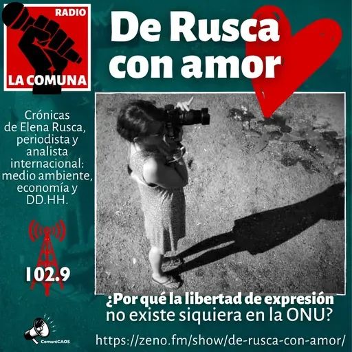 POR QUÈ LA LIBERTAD DE EXPRESIÒN NO EXISTEN Y NISIQUIERA EN LA ONU