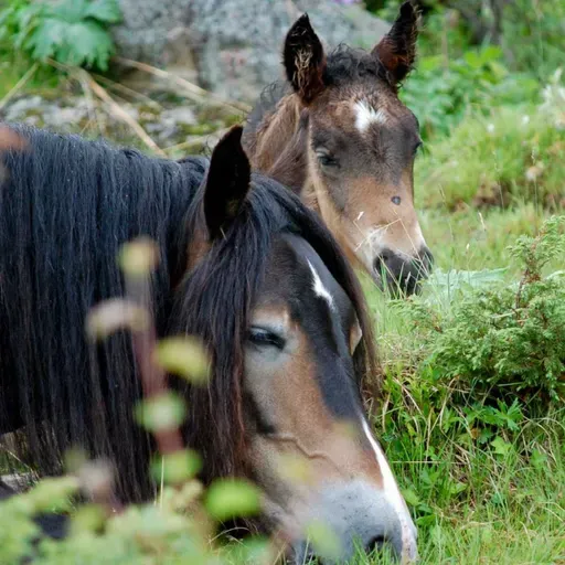 287 - Det kommer en vår