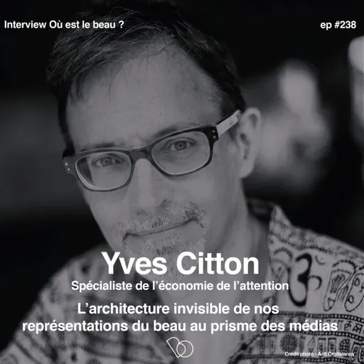 #238 -2/2 - L'architecture invisible de nos représentations du beau au prisme des médias avec YVES CITTON, Professeur spécialiste de l'économie de l'attention