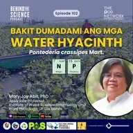 Ep102 - Bakit dumadami ang mga water hyacinth?