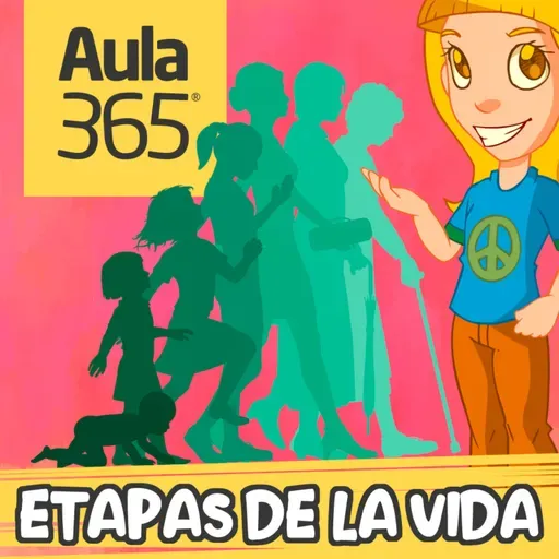 Etapas de la vida