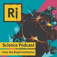 The role of inflammation in Alzheimer's Disease - with Tomi Akingbade