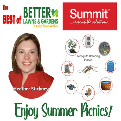 S2 Ep450: Best of Better Lawns and Gardens - Hour 1 Keeping Summer Pest Free June 14, 2025