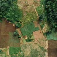 S7 Ep19: Can digital credit unlock investment in smallholder farms?