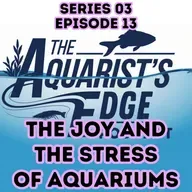 The Joy And The Stress Of Aquariums