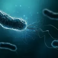 A Microbiologist’s Journey to Intelligent Design