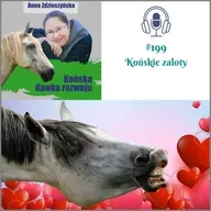 #199 Końskie zaloty