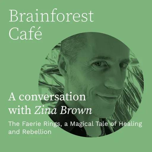 The Faerie Rings, a Magical Tale of Healing and Rebellion.