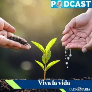 El Discernimiento 2parte – Domingo 14 dic 2025
