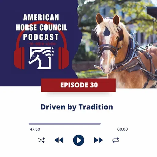 AHC: Driven by Tradition for October 7, 2025 - HORSES IN THE MORNING