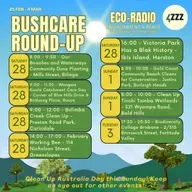 Andrew Franks - Moss