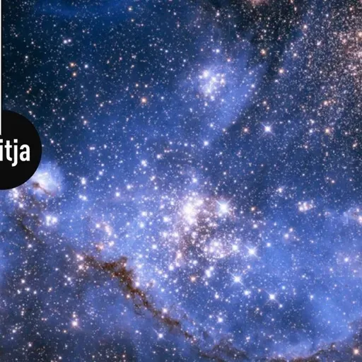 Teadusuudis. Maailma linnud on jäänud väiksemaks