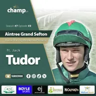 Ft. JACK TUDOR ⭐ AINTREE, WINCANTON & GOWRAN PREVIEW ✅️ Weekend Horse Racing Tips 🏇