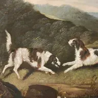 S8 Ep787: 2 HEADLINE: Physical Evolution: Snouts, Size, and Camouflage in the Wild GUESTS: Jessica Pierce and Mark Bekoff SUMMARY: In a post-human world, dogs will undergo significant physical transformations driven by survival needs rather than human preference. S